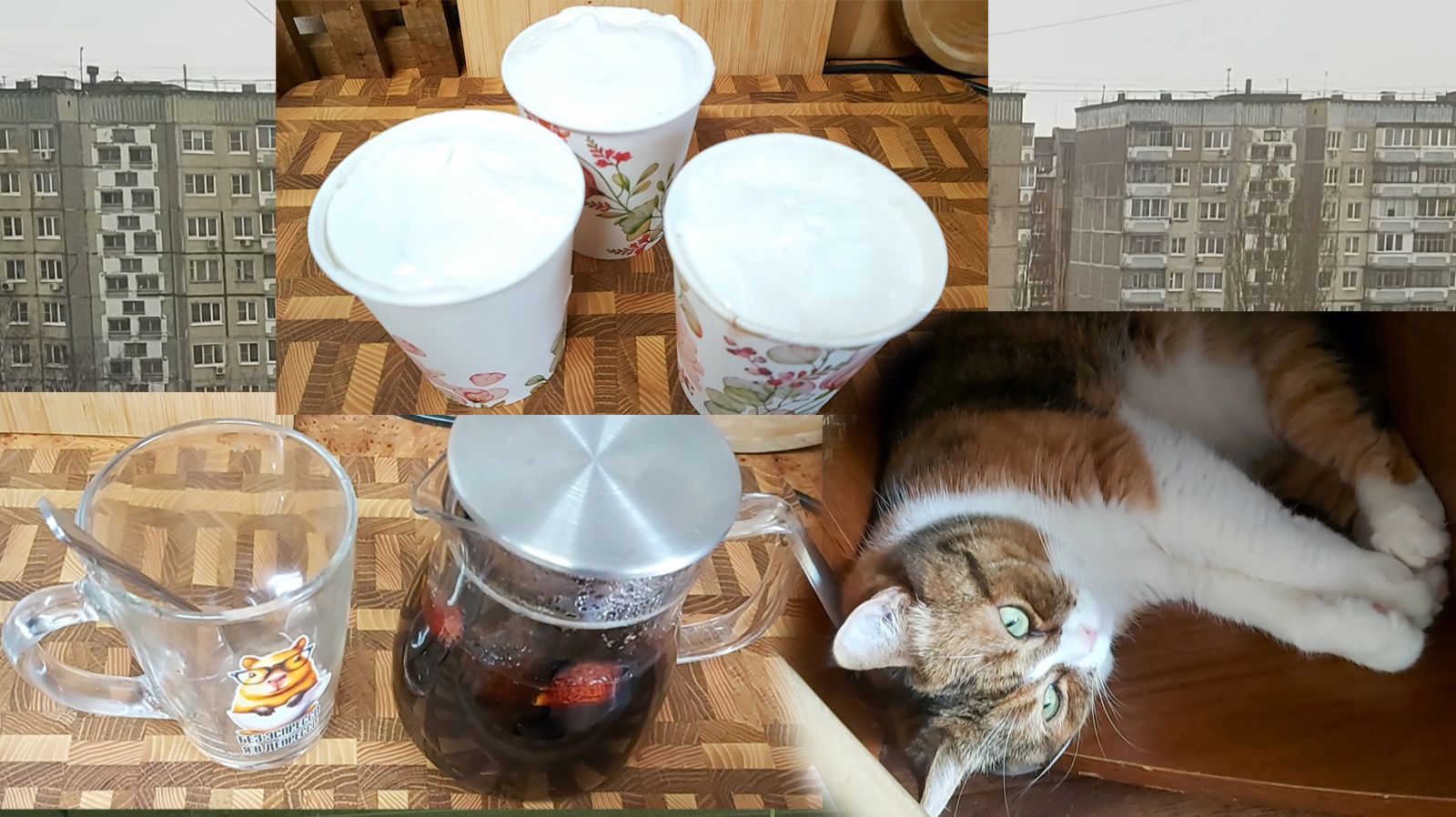 Потеплело, но раздождилось! Чай, кофе, мороженое))) Компактная кошка)))