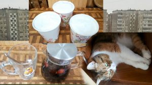 Потеплело, но раздождилось! Чай, кофе, мороженое))) Компактная кошка)))
