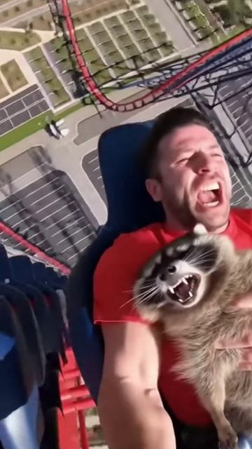 17-04-2026нейросеть