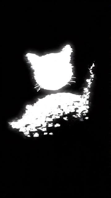 Кот как файл 404 #cat #видосыоткота #cute #веселыекоты #прикольныекоты #прикольныекоты #funnycats