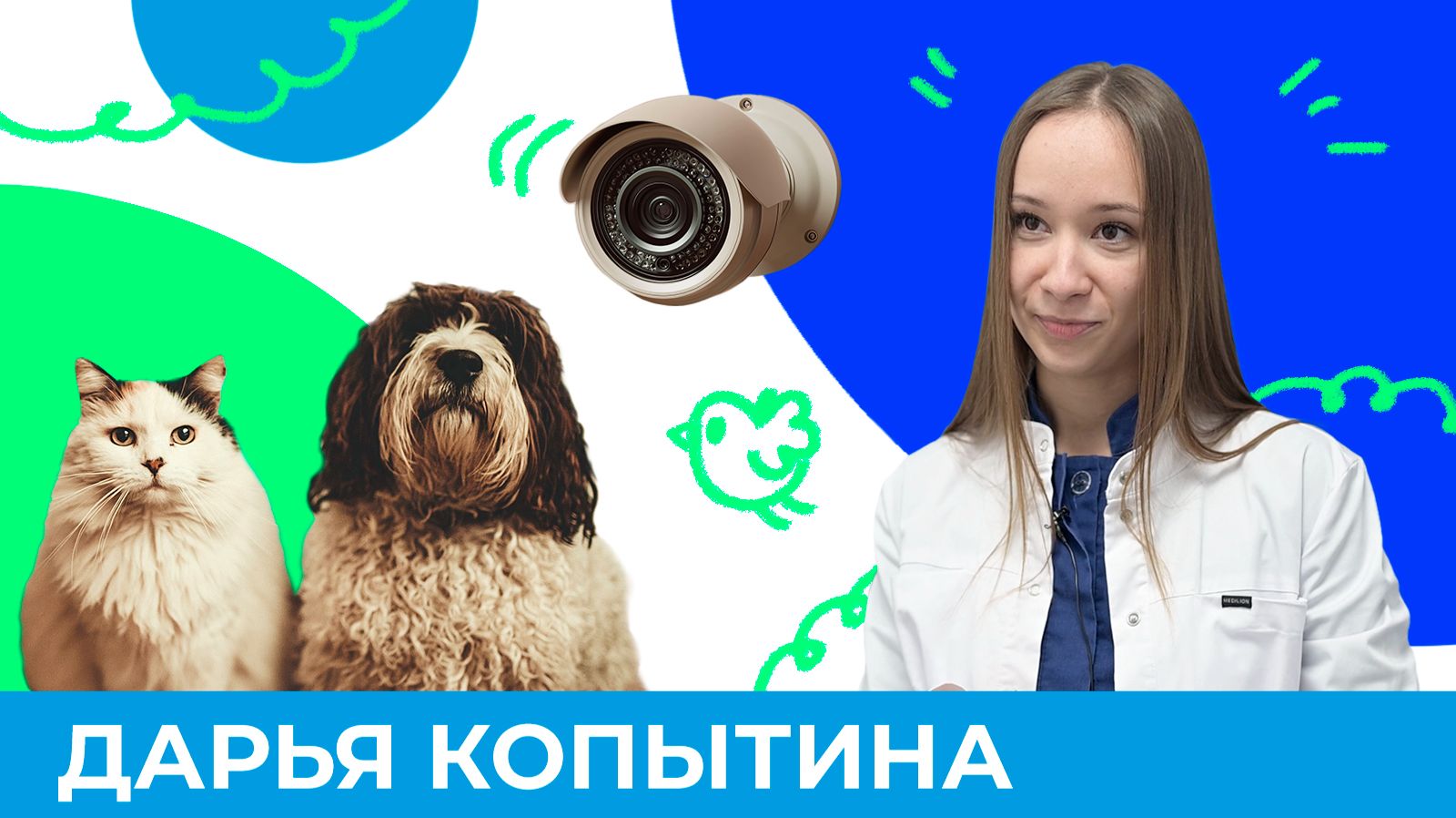 Не оставляйте питомца одного, пока не посмотрите это | Короче, Омск 663