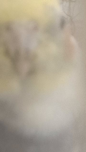 Попугай Корелли Оскар поëт!