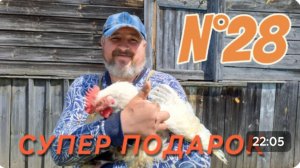 N°28. СУПЕР ПОДАРОК || РАСШИРЯЕМ ПОДВОРЬЕ || ЖИЗНЬ В ДЕРЕВНЕ