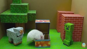 Приключение хомячка в красочном лабиринте - миссия: убежать от плохих игрушек! часть 8