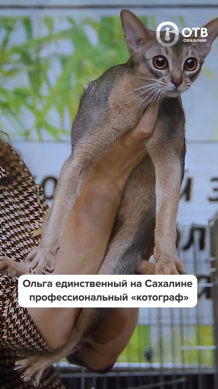 На творческой встрече Ольга Козловская поделилась секретами успешной съёмки животных