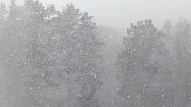 Снегопад в Новосибирске, 17.04.2026. CHEPIKK 💆 Не люби меня 💕 (remix) 🎸 Snowfall In Novosibirsk