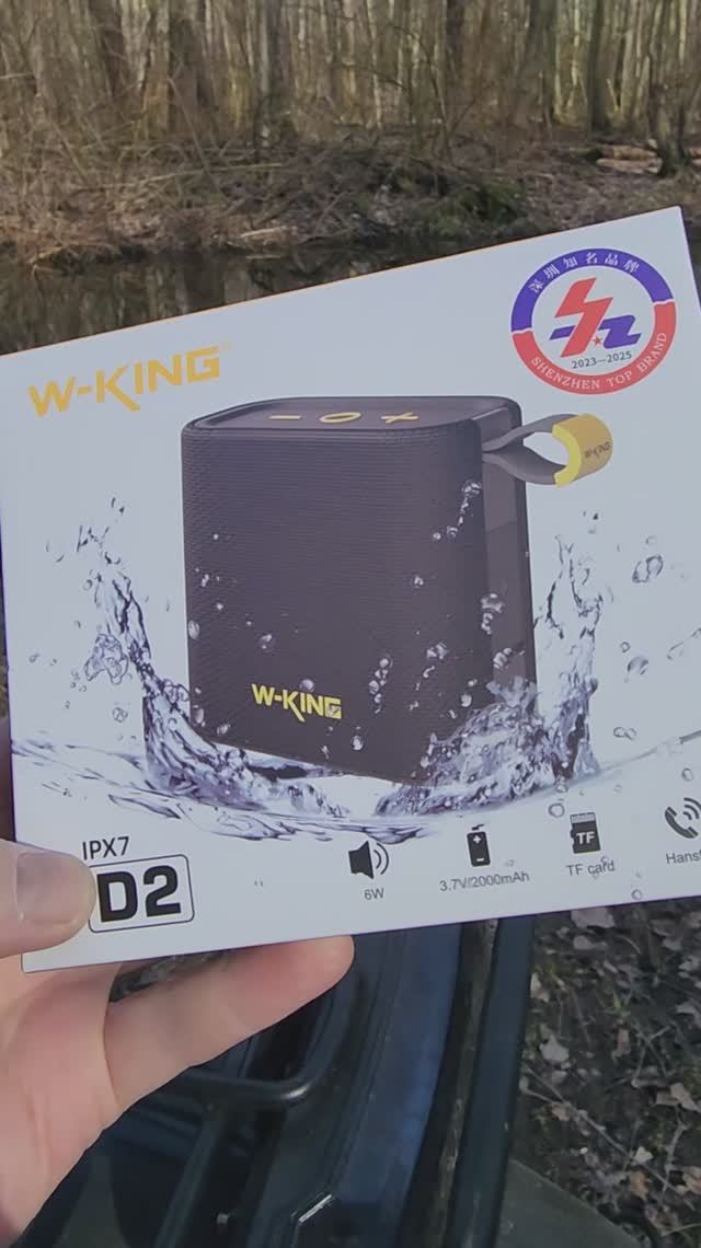 Колонка блютуз беспроводная W-KING D2 6W. Обзор, комплект и тест музыки. Не всё так плохо