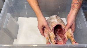 Как завялить гуся дома легко и вкусно