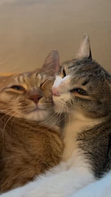 Автор видео: yeolmunamu