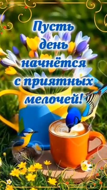 Доброе утроДрузья!