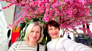 ШОПИНГ С ИРОЧКОЙ‼️МАРАФОН ПО МАГАЗИНАМ💃ПОЗОРНЫЙ МУКБАНГ