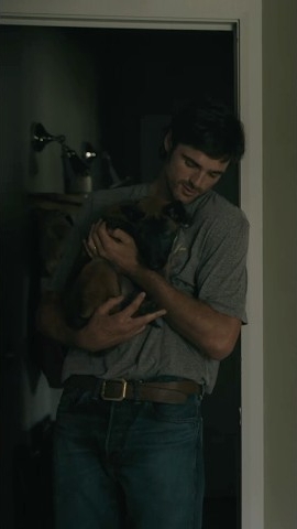 «СОБАЧЬИ ЗВЁЗДЫ»#1 смотрите в кино в августе 2026! #собачьизвезды #скоровкино  #трейлер