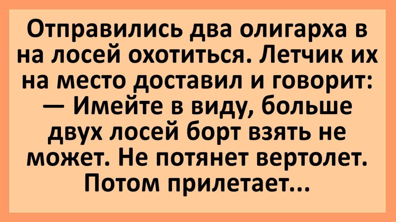 Анекдоты | Отправились два олигарха в тайгу... | Юмор