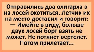Анекдоты | Отправились два олигарха в тайгу... | Юмор