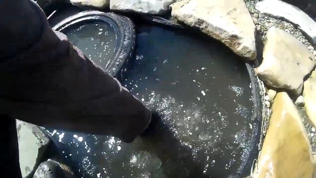 Как избавиться от медведки, самый простейший способ!