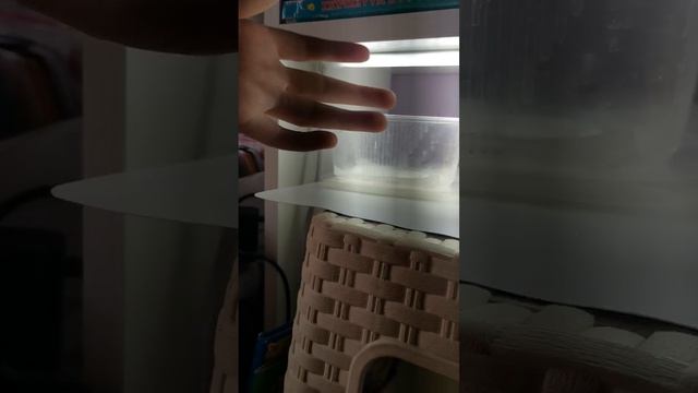 VID_20260417_182859.mp4