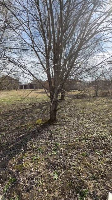 Участок в Гостилицах