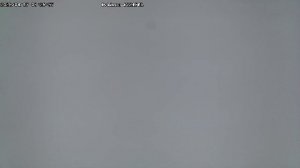 LIVE: channel43489494