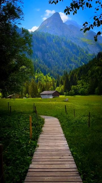 Успокаивающая мелодия