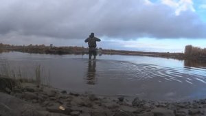 СНОВА РАКОВИНА РЫБЫ!!!ВОДОЙ СКИНУЛО РЫБУ КО МНЕ В МОРСКУЮ СЕТКУ!ХОЖУ ВЫПУТЫВАЮ И ЛЮБУЮСЬ СЕВЕРОМ!