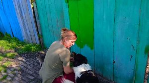 Освежаю Деревенский ЗАБОР Не Могу ОСТАНОВИТЬСЯ, Аж В Стороны Кидает.