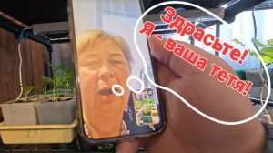 Аналитический обзор на канал Ольга Уралочка live от 16 апреля 2026 года. Болезная.