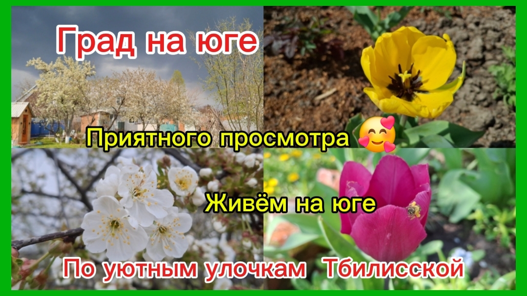 17-04-2026/Из Сибири на юг/Погода не радует/Град/По уютным улочкам Тбилисской/Приятного просмотра /
