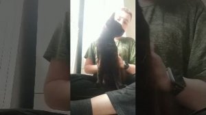 выполняю задания из чата