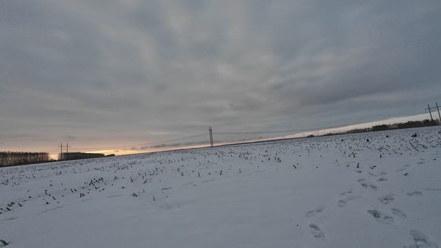 Охота на гуся в Татарстане.