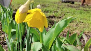 10.04.26/какое небо голубое ❤️/нейропрописи🤔/новые тапки-гонялки