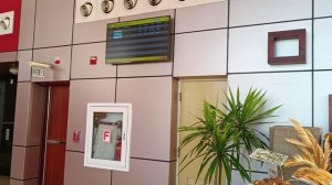 Египет-2023г. Naama Bay. Летим домой.