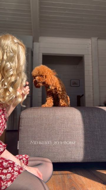 Тумба правды|часть вторая