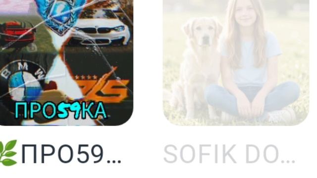 Это мои любимые блогеры 💗