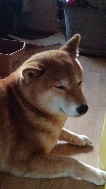 угадай бутылку с АЙКОЙ которая рыжая жопа