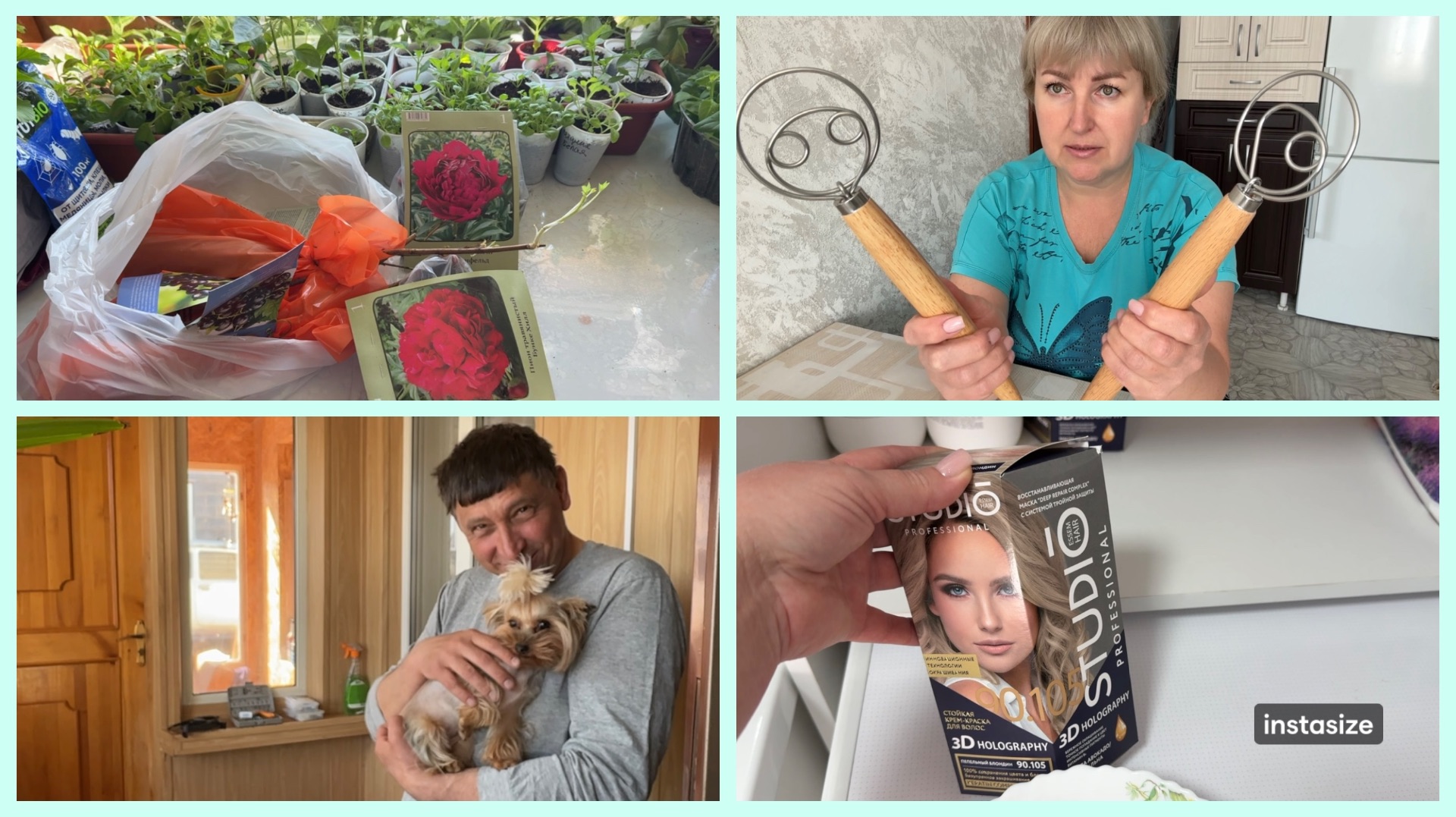 Датский ВЕНЧИК.Покрасилась. Саженцы