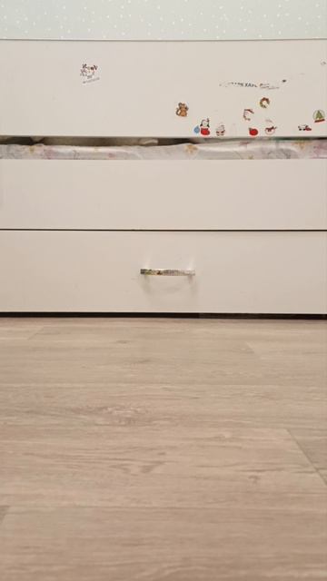 жук-обобус 3 серия жук катается на машине