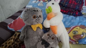 Басик и Саня играют в прятки и сидят с Сёмой