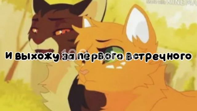 Листвичка и белка коты воители