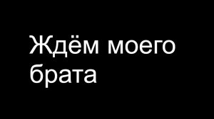играем в майн с моим братом