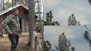 Дополнение к видео «В поисках глухариного тока»
(нужно экспертное мнение охотников)