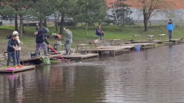 Светлые Горы Форель13 18.04.2026г.