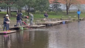 Светлые Горы Форель13 18.04.2026г.