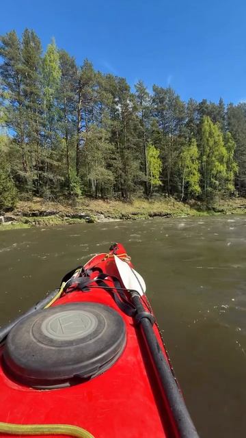 Уральская одиссея - 40 день