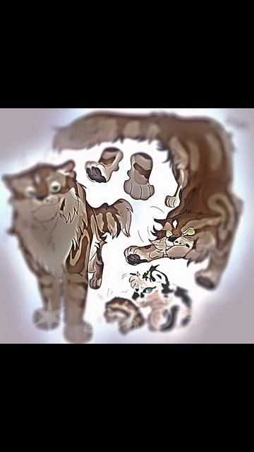 Эдит с Метеором! Кому еще эдит?