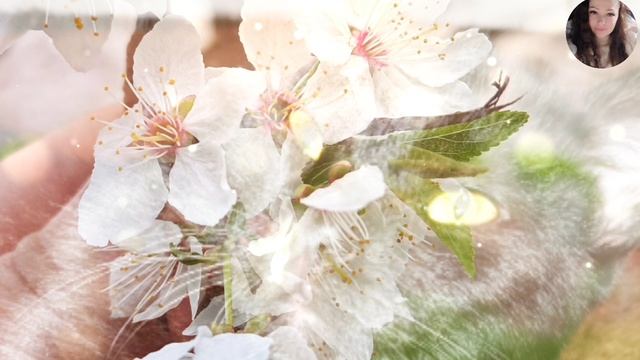 Звуки мурчания моего Кота Чернявого / АСМР Слушать звуки для сна, расслабления и медитации.