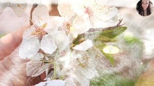 Звуки мурчания моего Кота Чернявого / АСМР Слушать звуки для сна, расслабления и медитации.