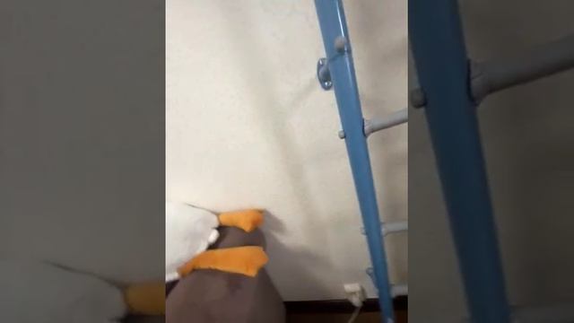 79820383203__BD68EED1-BD47-4E81-A9F2-23BAC440BA29