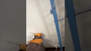 79820383203__BD68EED1-BD47-4E81-A9F2-23BAC440BA29