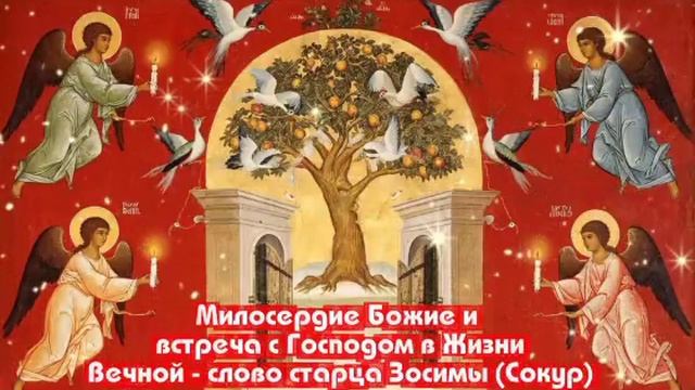 Милосердие Божие и встреча с Господом в 
Жизни Вечной - слово старца Зосимы (Сокур)