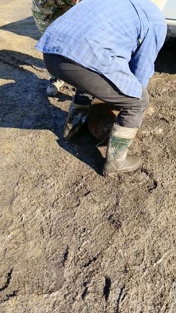 Охота на Кабана